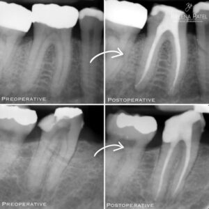 Dr. Veselin Trifonov